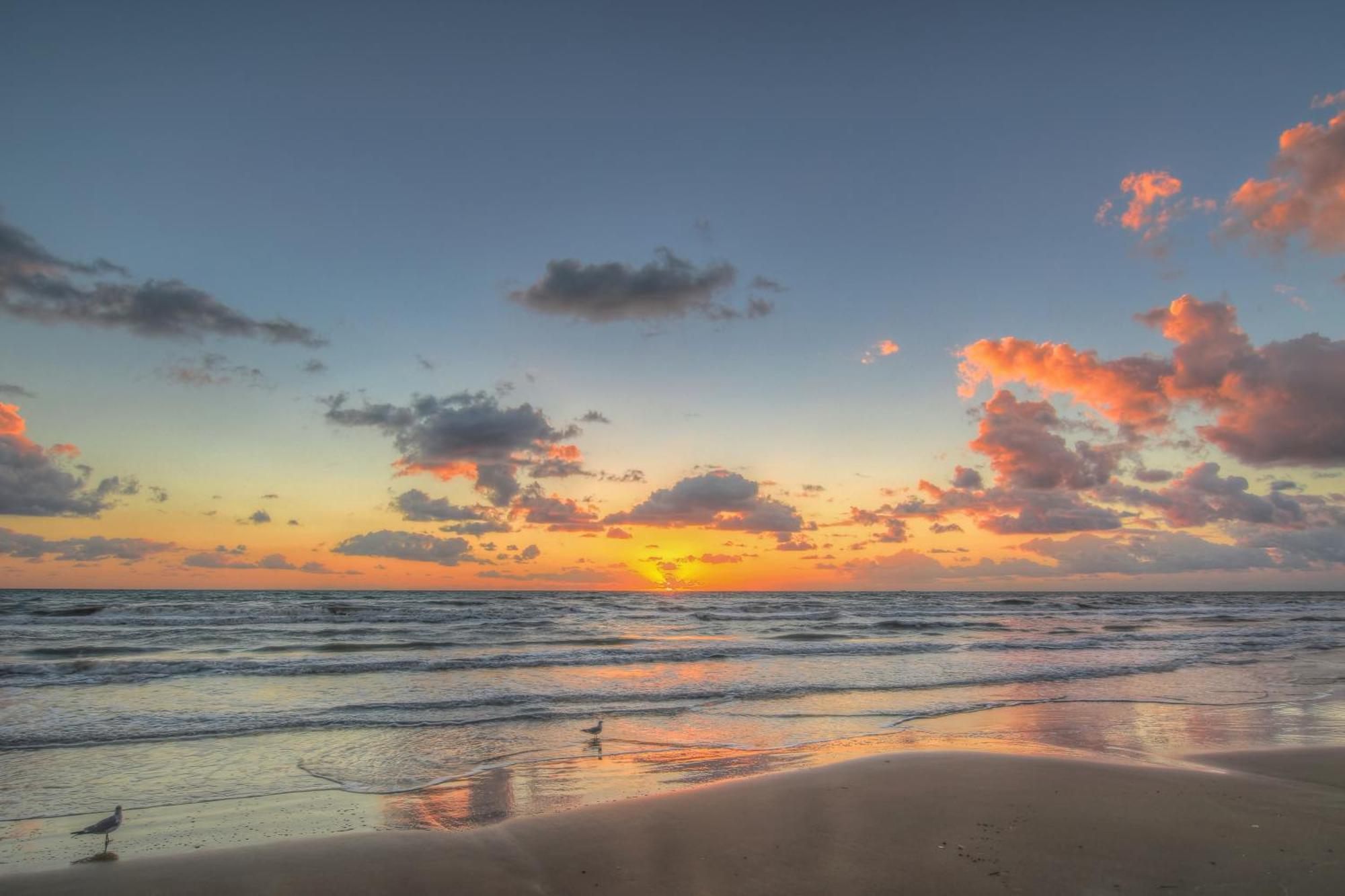 Sunchase IV Vila South Padre Island Quarto foto